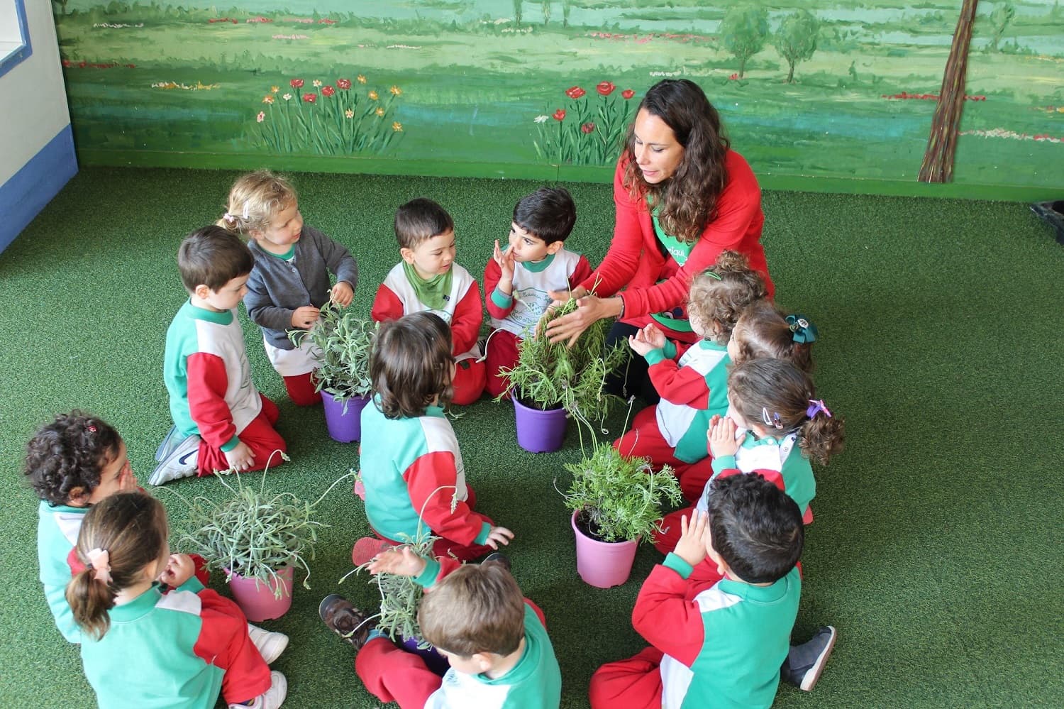 servicios y actividades